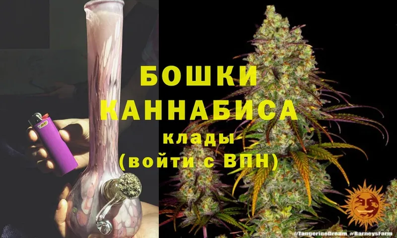 Бошки Шишки LSD WEED  где найти наркотики  Дальнереченск 